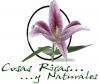 Cosas Ricas y Naturales-alimentos naturales, sanos