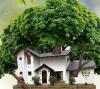 La Casa Del Arbol
